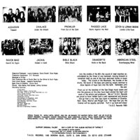 link to back sleeve of 'No Substitute For Steel' compilation LP from 1985