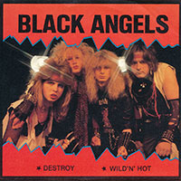 Black Angels - Destroy/Wild'n'hot 7" sleeve