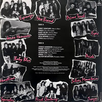 link to back sleeve of 'Rock Of Sweden - Volume 1' compilation LP from 1989